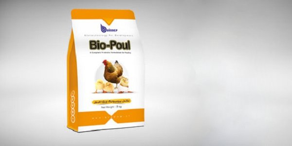 تصویر 2 از قیمت خرید مکمل پروبیوتیک طیور + فروش ویژه